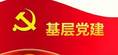 中国共产党基层党建的百年实践与启示