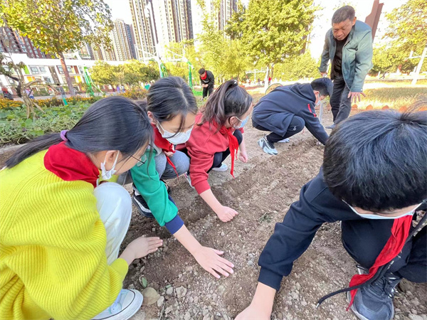郑州市管城区春晓小学开展秋季作物种植系列活动