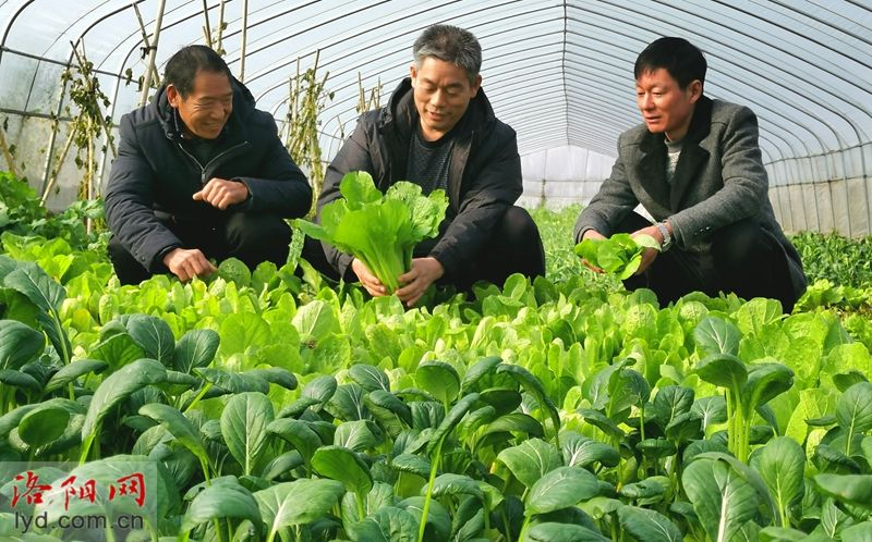 学习贯彻总书记视察河南重要讲话精神 始终保持艰苦奋斗的前进姿态