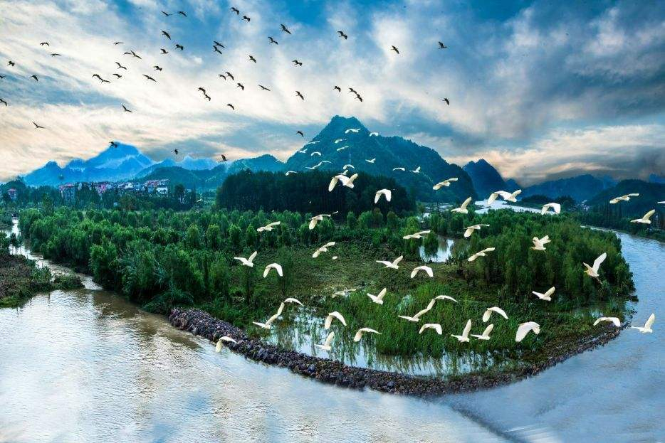 河南省政府召开全省生态示范创建暨美丽河湖建设工作电视电话会议