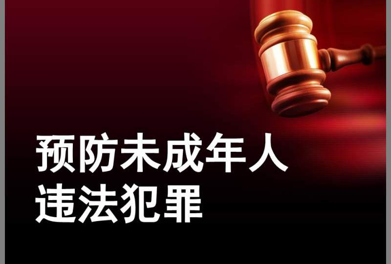 河南省人大代表肖振宇：健全未成年人犯罪矫治体系