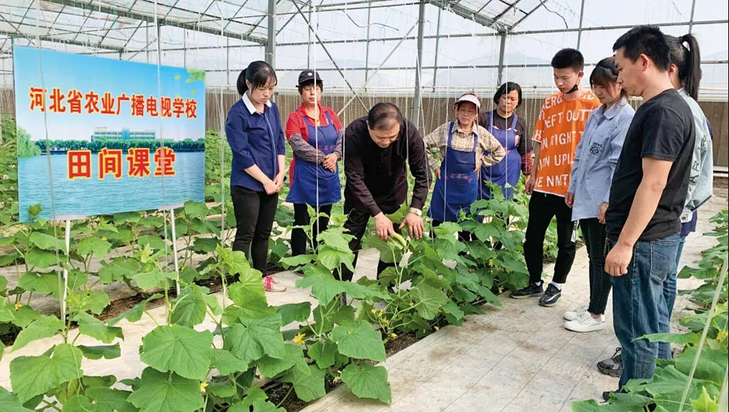 新春走基层丨“田间学校”培育“高素质农民”