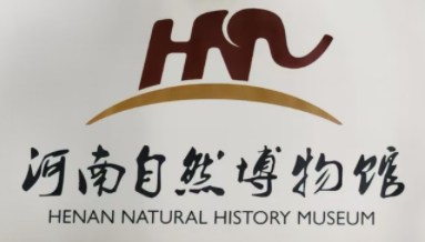 春节期间，河南自然博物馆准备了丰富多彩的活动和展览