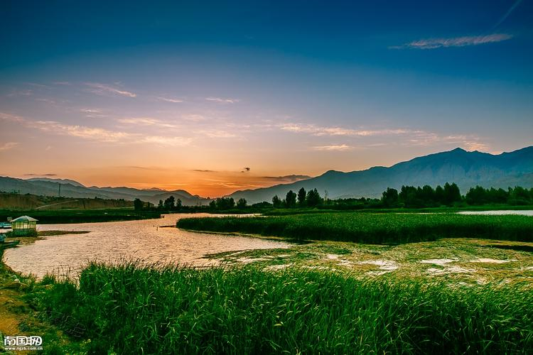 世界湿地日丨几只“小鸭”如何让河南登上国际湿地舞台？