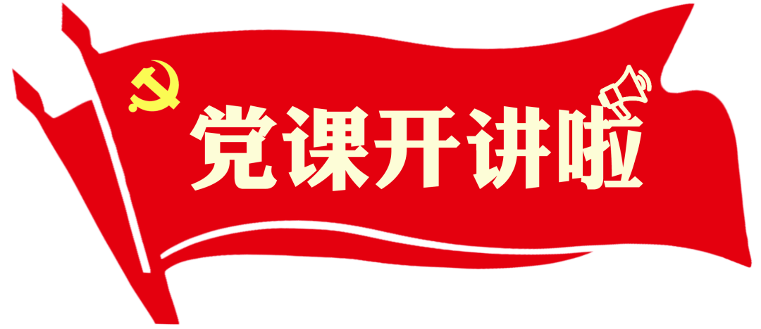 各地流动党员返乡过年——听党课谋发展 “红色”年味别样浓