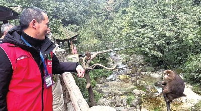 技术上如何操作人猴分流？峨眉山“猴事”未完待续