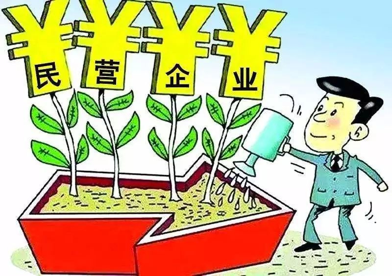 全国政协委员薛景霞：推进制定民营企业法 完善民营企业金融服务体系