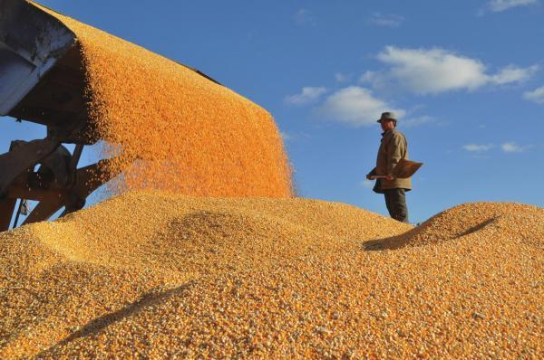 河南省去年粮食产业总产值突破3000亿元