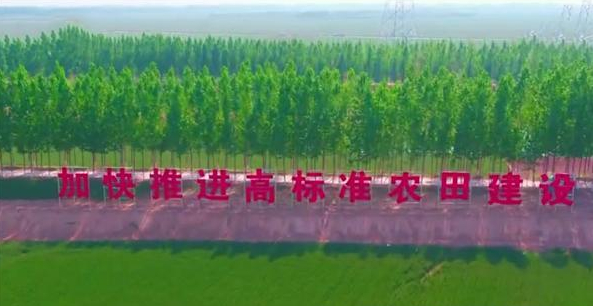 加快推进高标准农田建设 牢牢把住粮食安全主动权