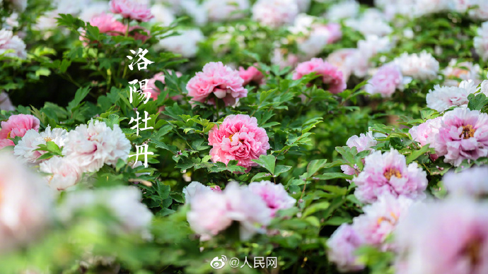全力拼经济 各地在行动丨信阳锻造一条“绿色链”