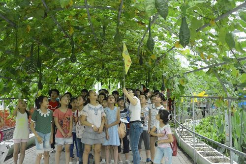 41家单位获批建设河南省现代农业科普基地