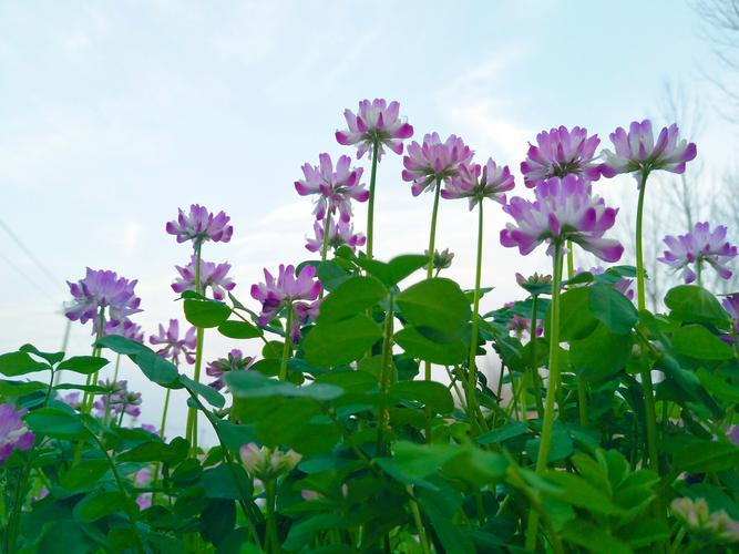 大咖把脉问诊,助河南写好“双碳”答卷