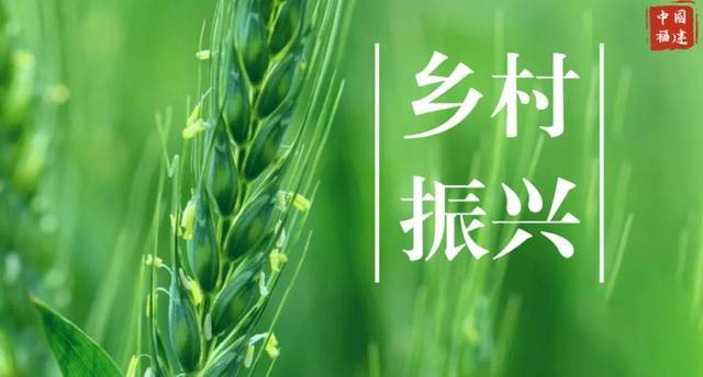 《河南省基本医疗卫生与健康促进条例》6月1日起施行 优化资源配置 促进全民健康