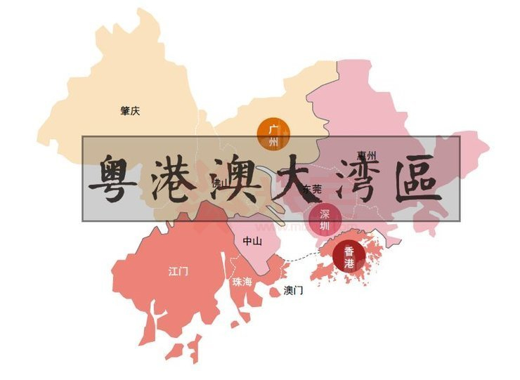 粤港澳大湾区投资交流恳谈会在郑举行