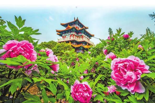 汉魏洛阳城遗址新发现的十六国时期精美文物首次亮相