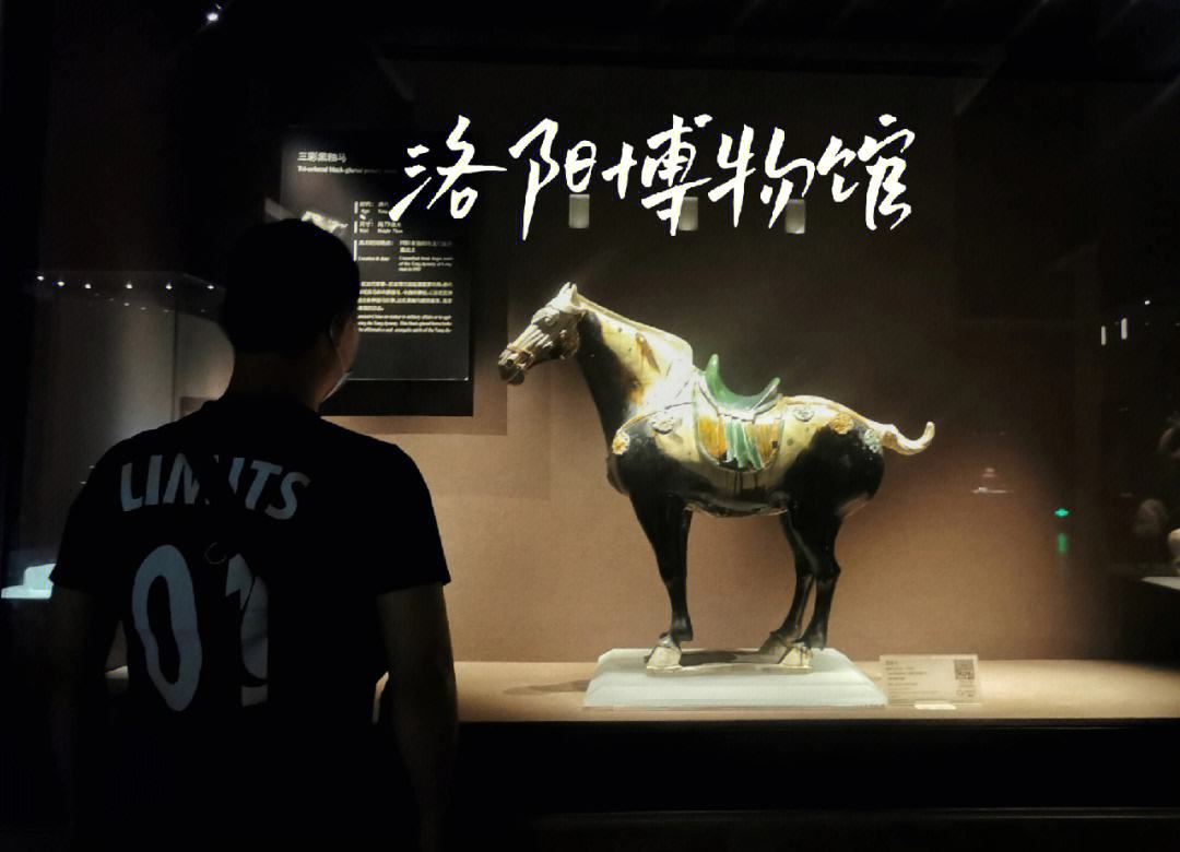 行走河南·读懂中国丨今年“五一” 约193万人次参观博物馆