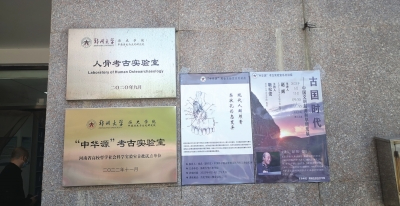 双槐树的男人“不干活”? 文明探源走进郑大人骨考古实验室，听教授讲人骨的故事