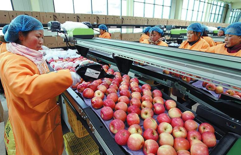 河南粮油加速擦亮“金品牌”