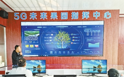 数字赋能的三门峡苹果不光能出国甚至还“上天”了