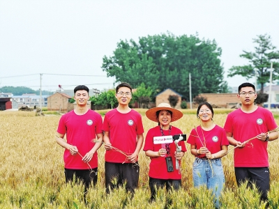 兰考科技小院的一群大学生 带领乡亲种黑小麦蹚出致富路