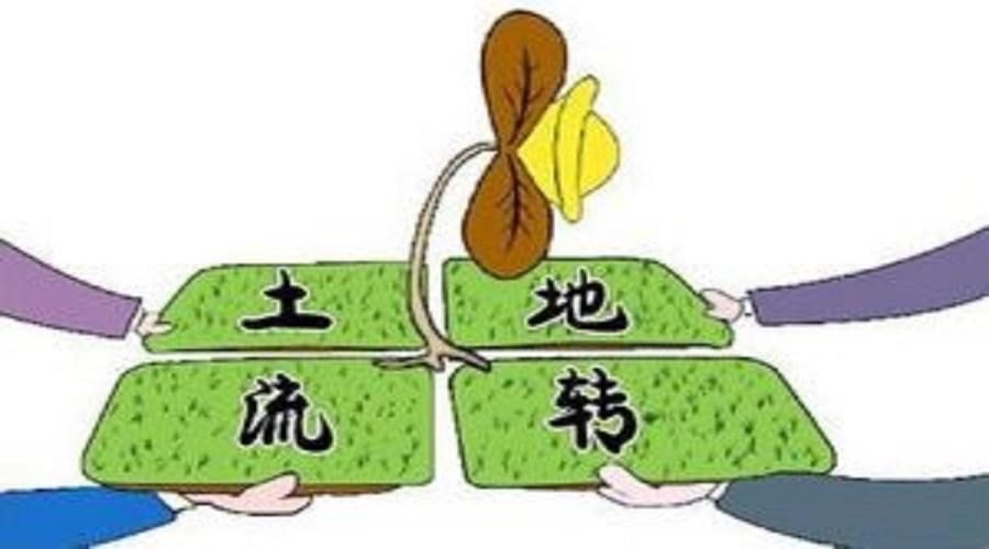 河南省农村土地承包经营权正式纳入不动产登记 农户承包地有了“身份证”