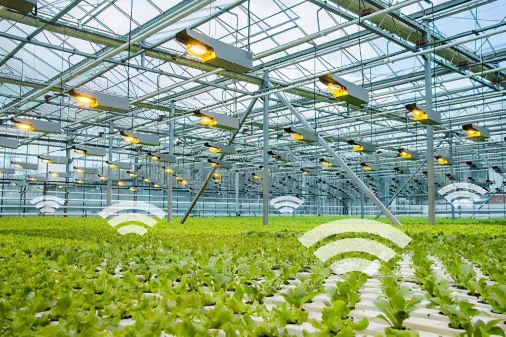 周口市生物医药产业推介对接会 签约项目10个 总投资超110亿元