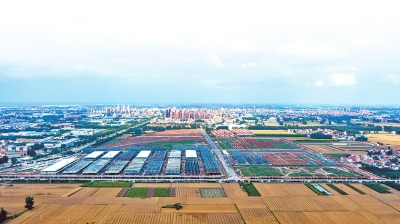 新时代 新征程 新伟业丨“长封一体” 优势互补