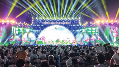 赏荷花、看大型实景演出、观非遗展览……第二届周口荷花节启动