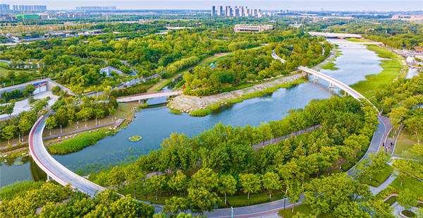 暑期旅游市场：赛道多 花样新 人气旺
