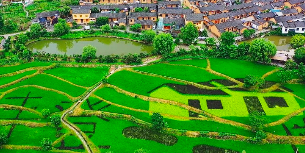 上半年新引进青年人才14.2万人，常住人口平均年龄34.7岁 郑州年轻度居全国第五