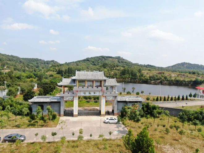 南阳市卧龙区 林下生“金” 绿富双赢