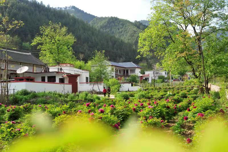 河南省乡村建设暨农村人居环境整治提升现场会召开