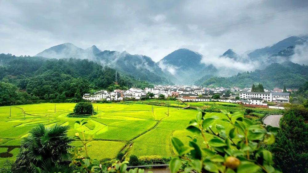 深入学习贯彻党的二十大精神丨 卫辉市 描绘乡村美景