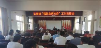 南阳卧龙区安皋镇：政府搭台 金融下乡为乡村振兴插上“金翅膀”