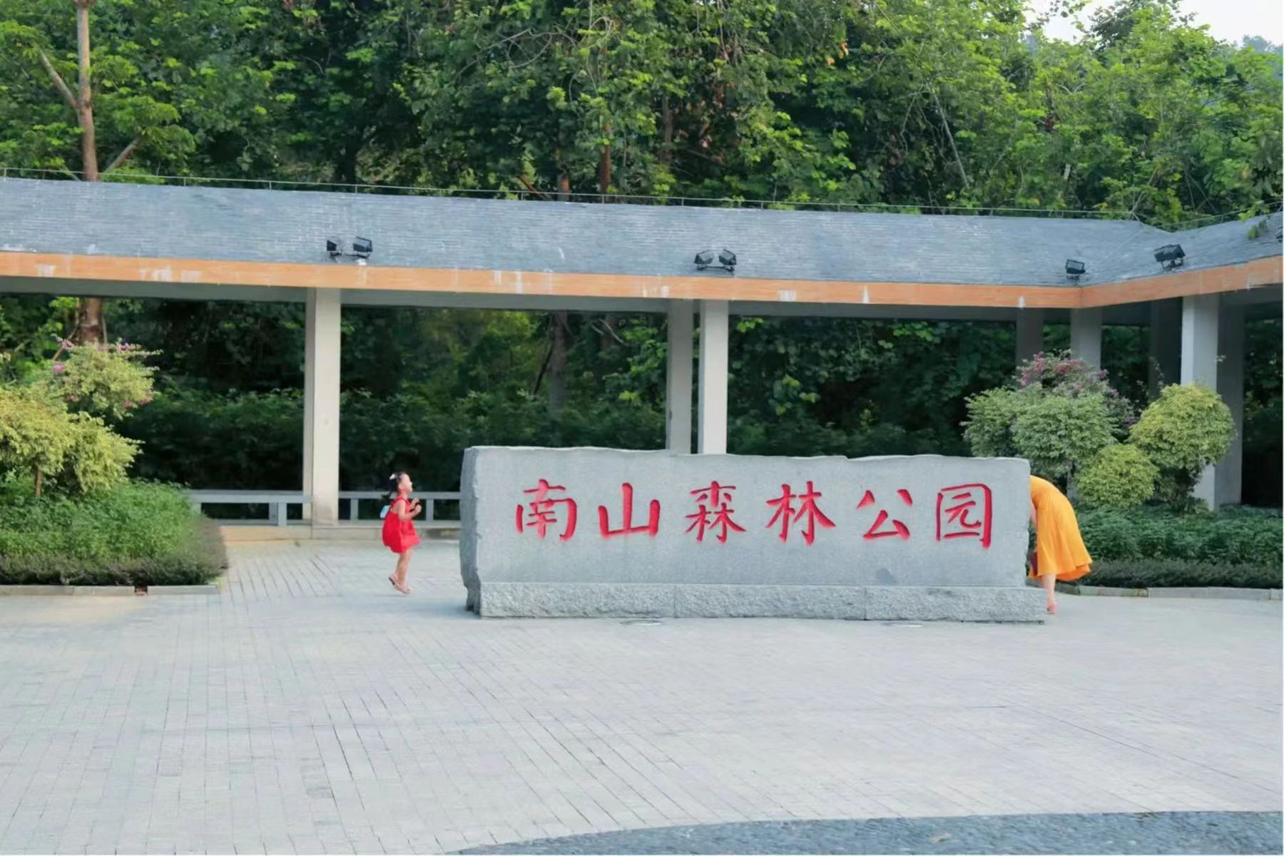 鹤山区：只此青绿满目新