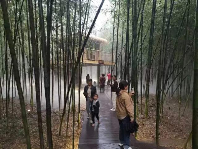 太行山下邂逅“竹林水乡”