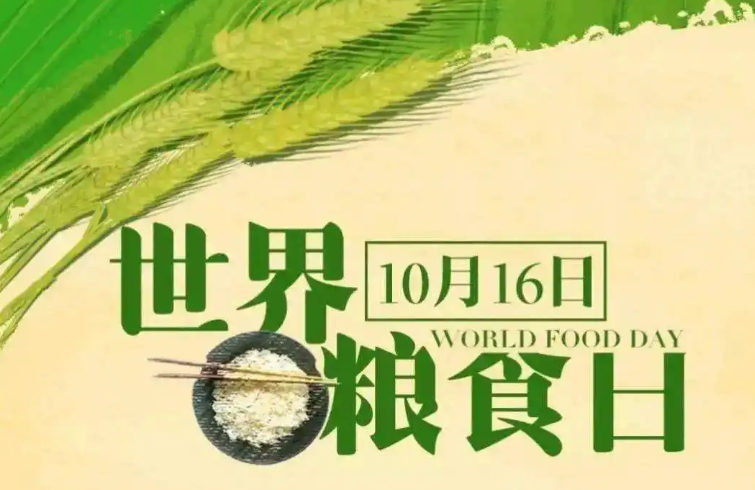 新时代 新征程 新伟业·豫见“三秋”丨 践行大食物观 保障粮食安全