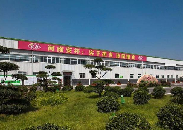 汤阴县 链上发力 做强食品产业