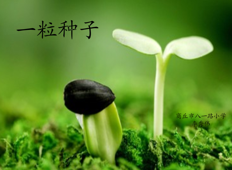 以信任的态度给孩子成长空间