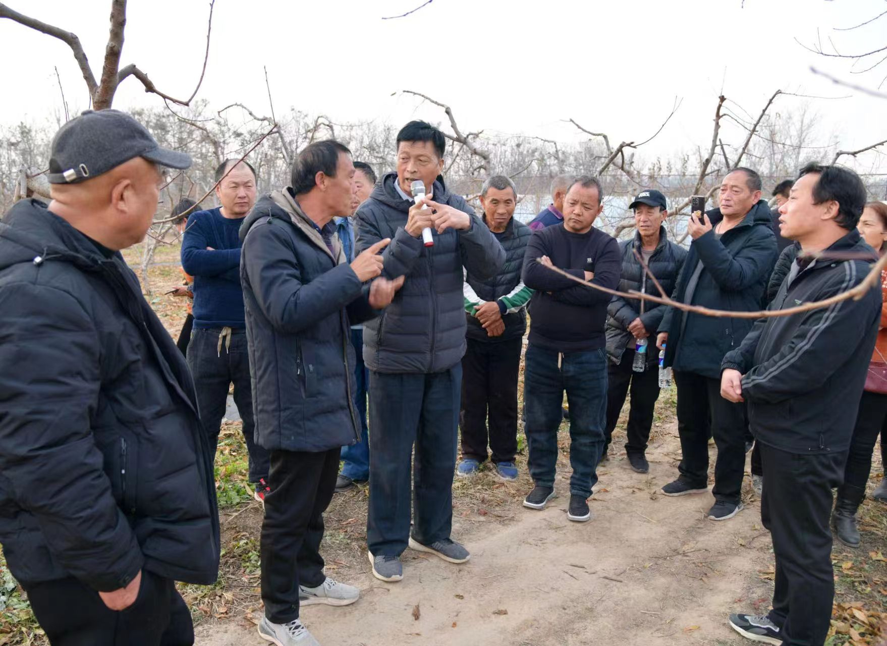 内乡县果树协会组团到三门峡阳店镇观摩学习产业发展