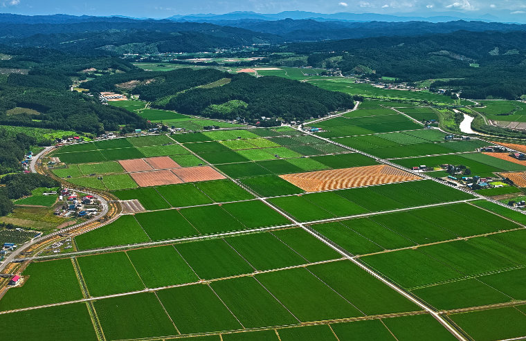 推动新时代“枫桥经验”在中原大地结硕果