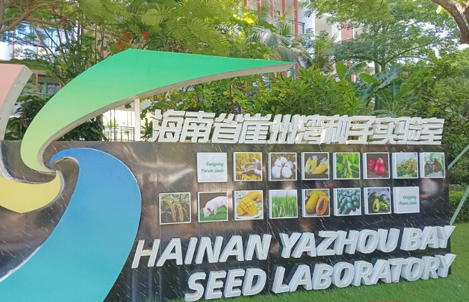 携手共建崖州湾国家实验室河南试验基地 打造国家战略科技力量