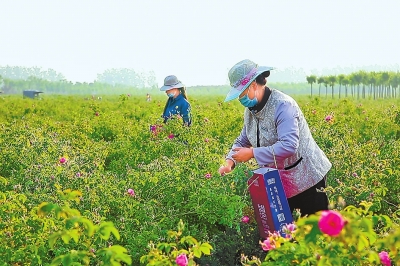 巩固拓展脱贫攻坚成果 中原大地迈向村美民富