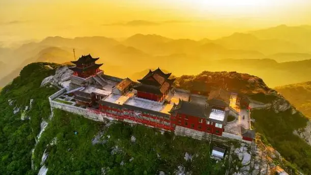 桐柏南山冬片获国家发明专利