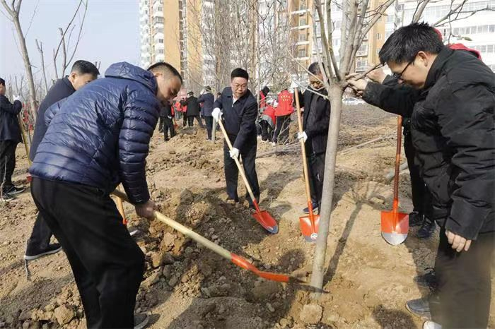 平顶山湛河区：“全域动员”掀起植绿热潮