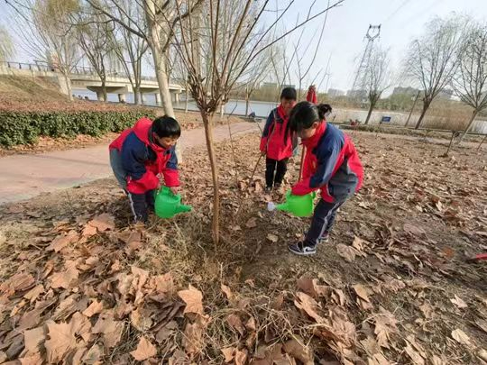 中牟县岗头桥小学开展“护绿爱绿 共树未来”主题活动