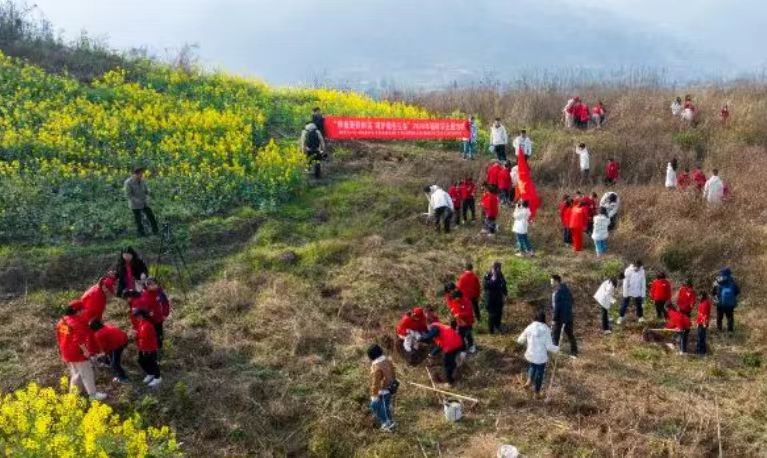 河南将在生态项目修复区植树28.22万亩