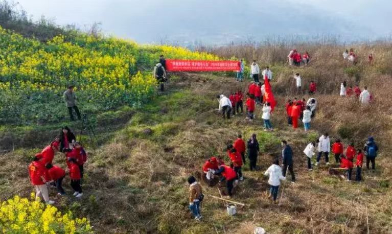 河南将在生态项目修复区植树28.22万亩