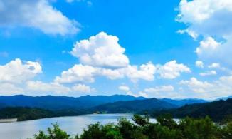 河南省发展水肥一体化面积800多万亩 亩均节水30%以上、化肥使用量减少20%—30%