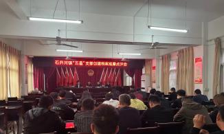 西峡石界河镇：发挥代表作用 助力“五星”支部创建